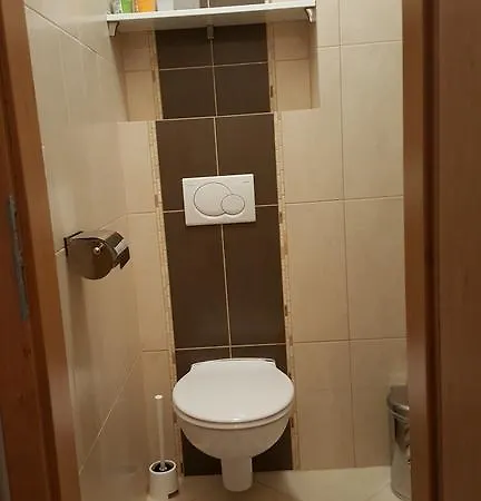 Apartment Byt V Centru Karlovych Varu Karlovy Vary