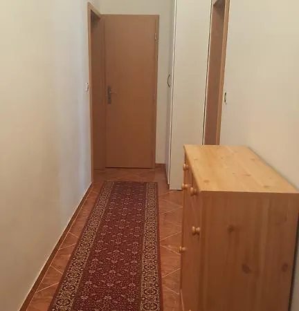 Byt V Centru Karlových Varů * Karlovy Vary